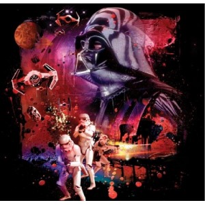 Jerry Fabrics Housse de Coussin Star Wars Dark Power 40 x 40 cm