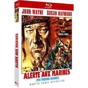 Alerte aux Marines BLU-RAY...