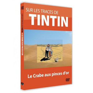 Sur les traces de Tintin...