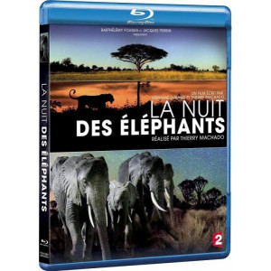 La nuit des éléphants...