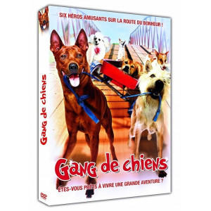 Gang de chiens DVD NEUF