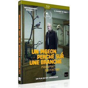 Un pigeon perché sur une...