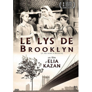 Le Lys de Brooklyn DVD NEUF