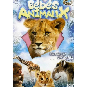 Bébés animaux volume 1 DVD...