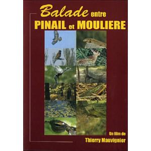 Balade entre pinail et...
