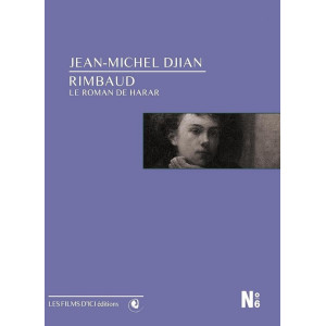 Rimbaud le roman de Harar...