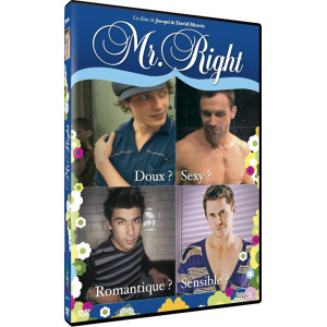 Mr. Right DVD NEUF