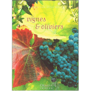 Vignes et oliviers DVD NEUF