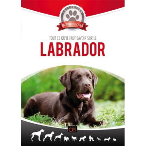 Labrador DVD NEUF