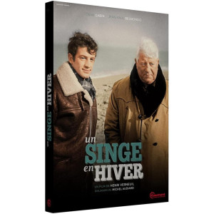 Un singe en hiver DVD NEUF