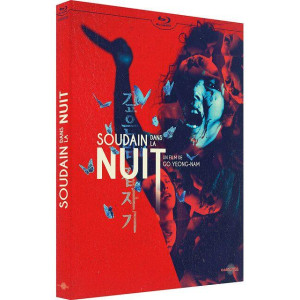 Soudain dans la nuit...
