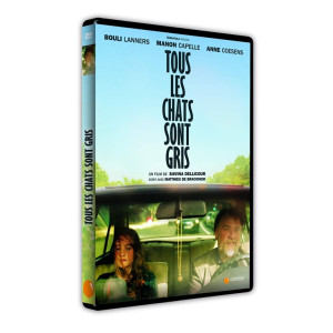 Tous les chats sont gris...