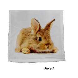 Housse de coussin réversible "LAPIN HAMSTER" 40x40cm - NEUF - Taie d'oreiller décoratif